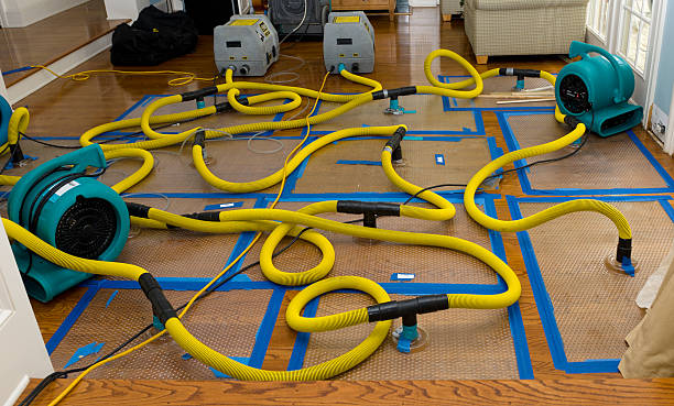 Professional Crawl Space Water Removal technician working in Lewiston, MN